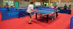 omnisports speed фоновая